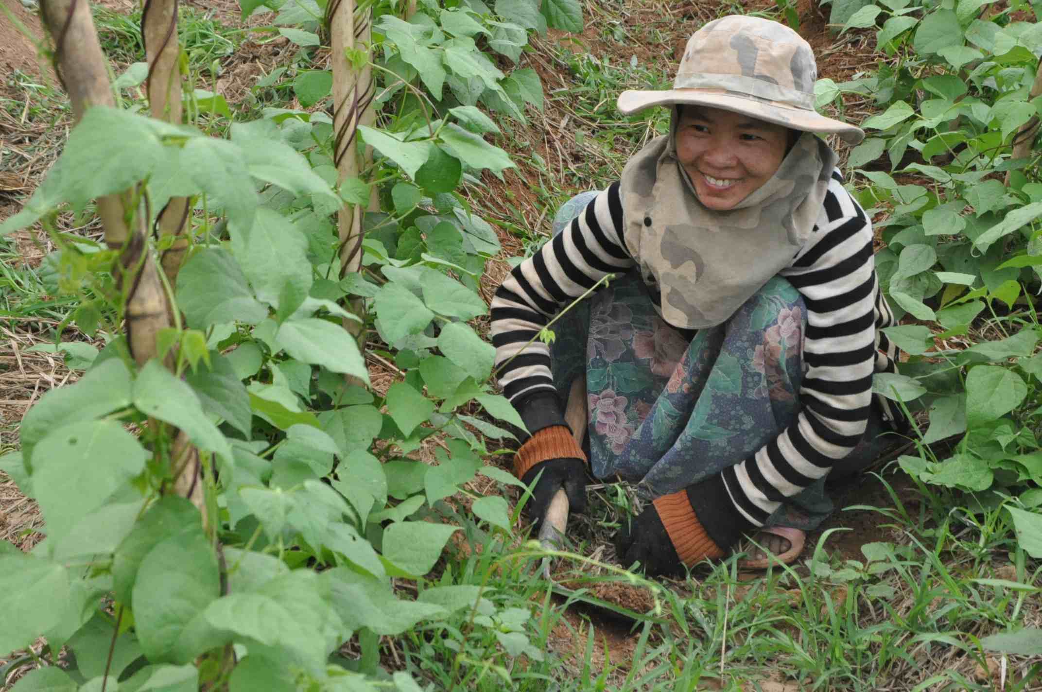 Femme laotienne