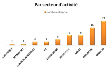 Label CGEM Secteur d'activité