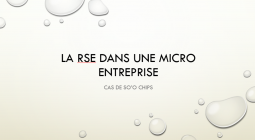 Yaounde - Micro entreprise